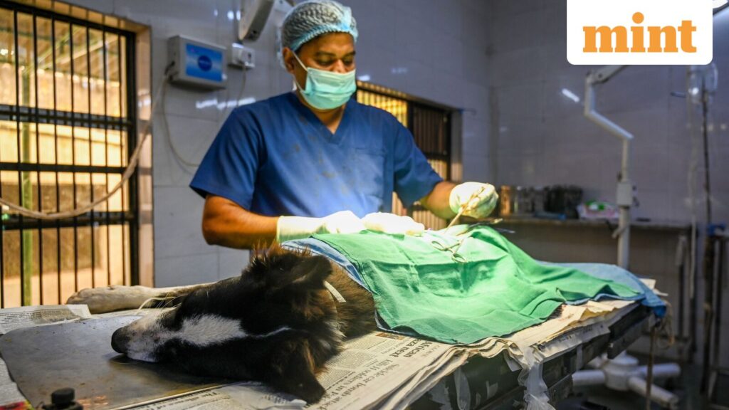 India to share its winning strategy with Southeast Asian neighbours