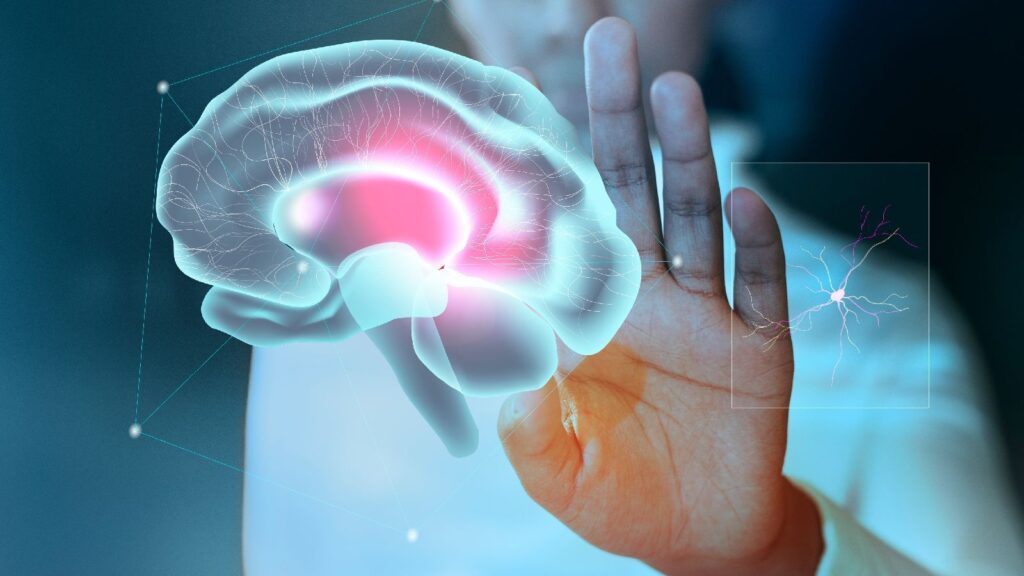 World Stroke Day 2025: Nutritionist recommends food habits to prevent stroke, says add fresh, fiber-rich foods to diet