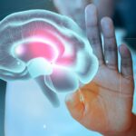 World Stroke Day 2025: Nutritionist recommends food habits to prevent stroke, says add fresh, fiber-rich foods to diet