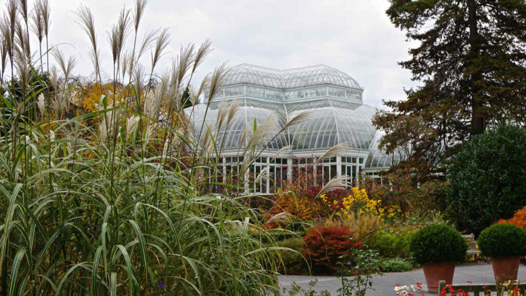 Bezos fund believes AI can save the planet. Nvidia, Google are all-in.