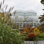 Bezos fund believes AI can save the planet. Nvidia, Google are all-in.